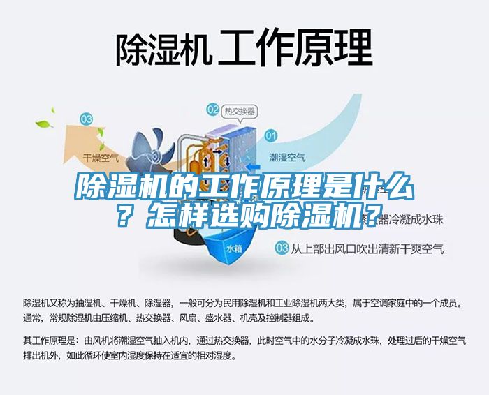 除濕機(jī)的工作原理是什么？怎樣選購除濕機(jī)？