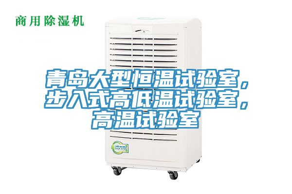 青島大型恒溫試驗室，步入式高低溫試驗室，高溫試驗室