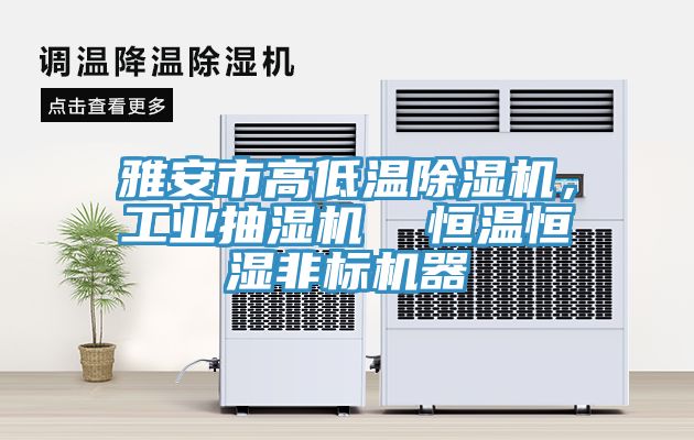 雅安市高低溫除濕機，工業(yè)抽濕機  恒溫恒濕非標(biāo)機器