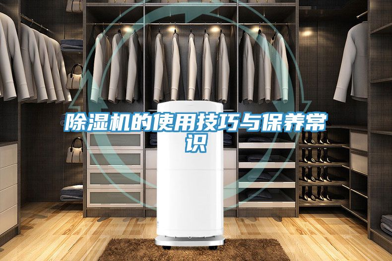 除濕機(jī)的使用技巧與保養(yǎng)常識