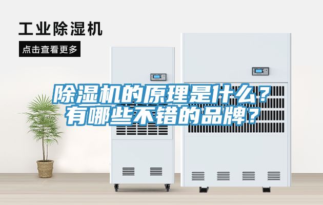 除濕機的原理是什么？有哪些不錯的品牌？