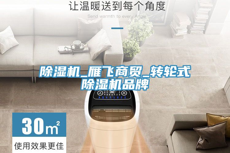 除濕機_雁飛商貿(mào)_轉輪式除濕機品牌