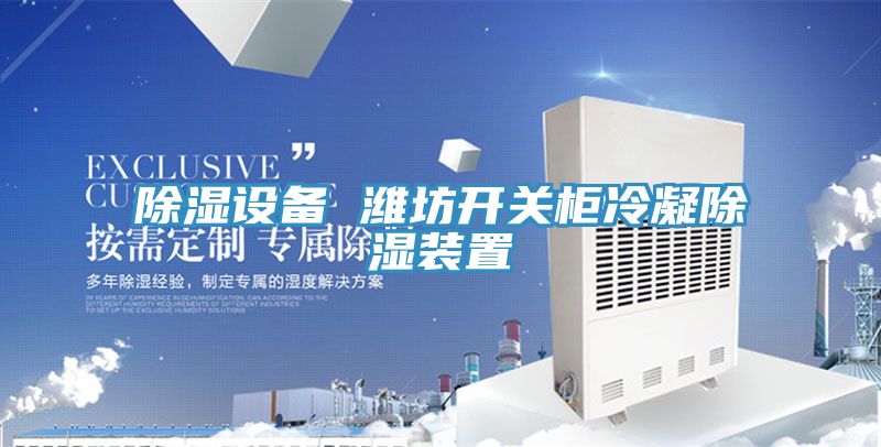 除濕設(shè)備 濰坊開(kāi)關(guān)柜冷凝除濕裝置