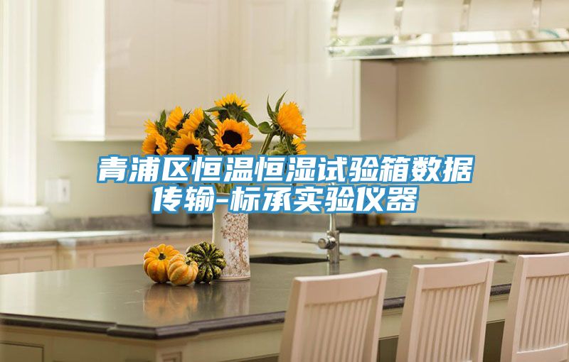 青浦區(qū)恒溫恒濕試驗箱數(shù)據(jù)傳輸-標(biāo)承實驗儀器