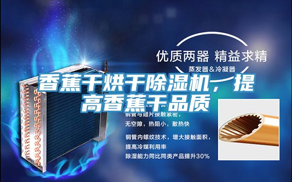 香蕉干烘干除濕機，提高香蕉干品質(zhì)