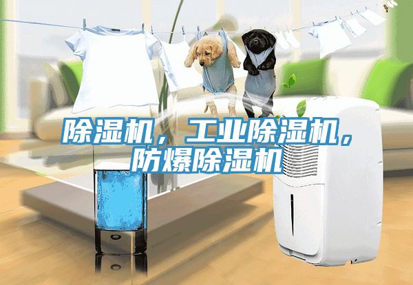 除濕機(jī)，工業(yè)除濕機(jī)，防爆除濕機(jī)