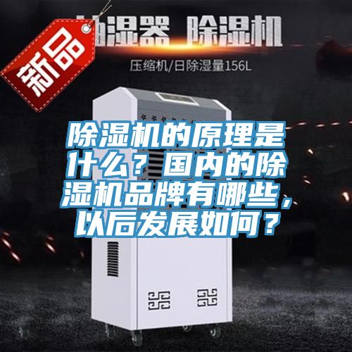 除濕機的原理是什么？國內(nèi)的除濕機品牌有哪些，以后發(fā)展如何？