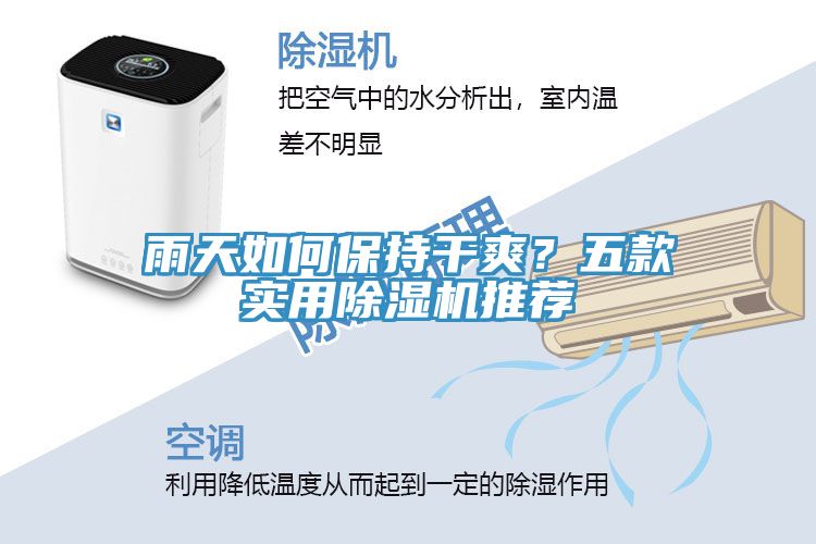 雨天如何保持干爽？五款實用除濕機推薦
