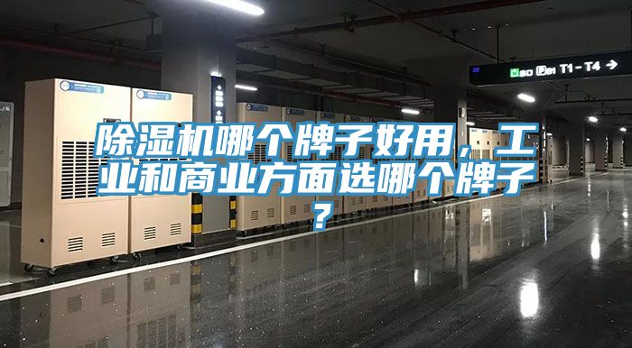 除濕機(jī)哪個(gè)牌子好用，工業(yè)和商業(yè)方面選哪個(gè)牌子？