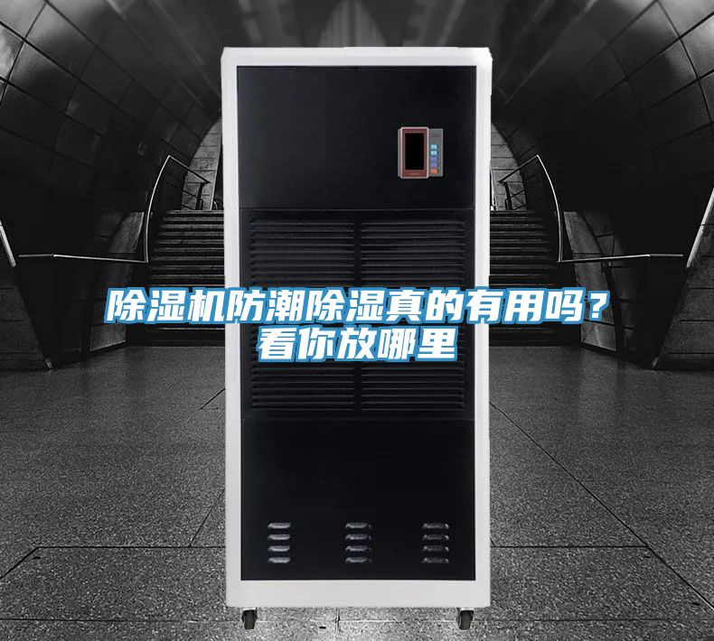除濕機防潮除濕真的有用嗎？看你放哪里