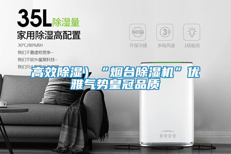 高效除濕）“煙臺(tái)除濕機(jī)”優(yōu)雅氣勢皇冠品質(zhì)