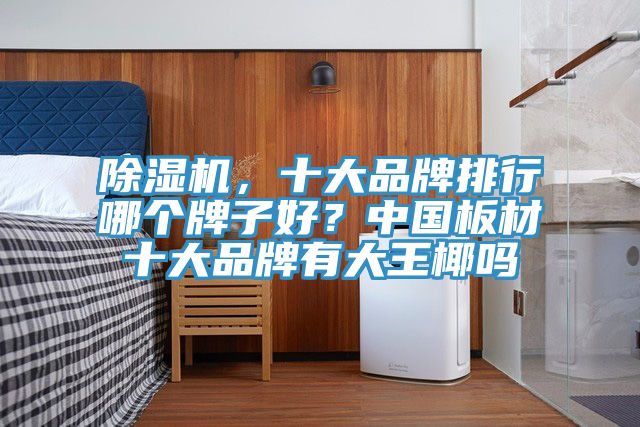 除濕機(jī)，十大品牌排行哪個(gè)牌子好？中國板材十大品牌有大王椰嗎