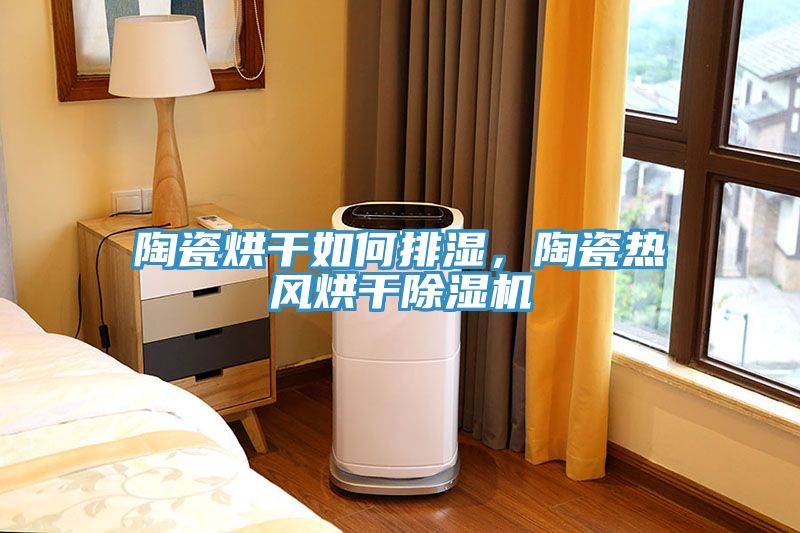 陶瓷烘干如何排濕，陶瓷熱風(fēng)烘干除濕機