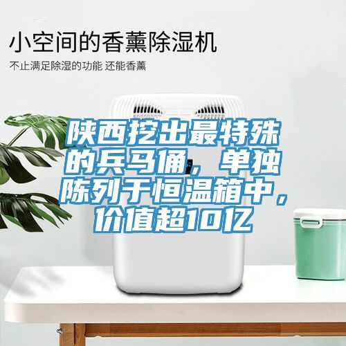 陜西挖出最特殊的兵馬俑，單獨陳列于恒溫箱中，價值超10億