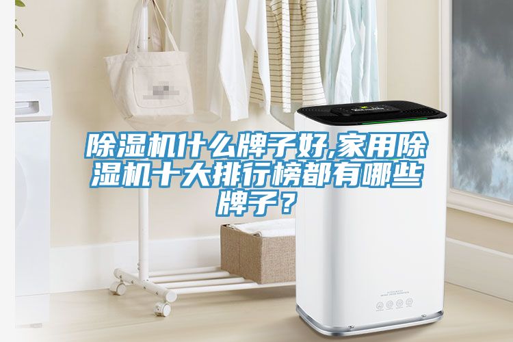 除濕機(jī)什么牌子好,家用除濕機(jī)十大排行榜都有哪些牌子？
