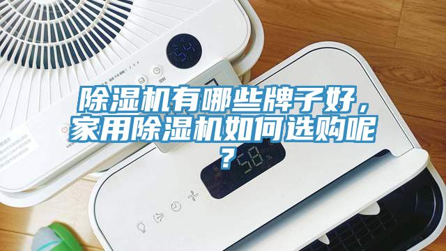 除濕機有哪些牌子好，家用除濕機如何選購呢？