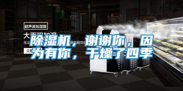 除濕機，謝謝你，因為有你，干燥了四季