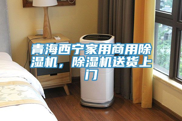 青海西寧家用商用除濕機(jī)，除濕機(jī)送貨上門
