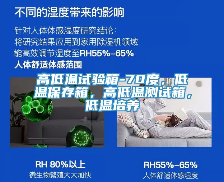 高低溫試驗(yàn)箱-70度，低溫保存箱，高低溫測(cè)試箱，低溫培養(yǎng)