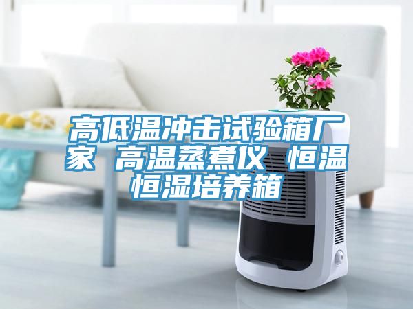 高低溫沖擊試驗(yàn)箱廠(chǎng)家 高溫蒸煮儀 恒溫恒濕培養(yǎng)箱