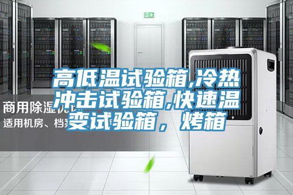 高低溫試驗(yàn)箱,冷熱沖擊試驗(yàn)箱,快速溫變?cè)囼?yàn)箱，烤箱
