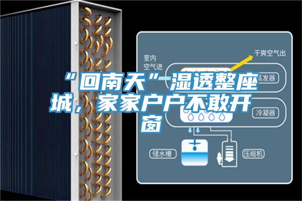 “回南天”濕透整座城，家家戶戶不敢開(kāi)窗