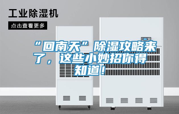 “回南天”除濕攻略來(lái)了，這些小妙招你得知道！