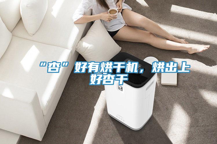 “杏”好有烘干機，烘出上好杏干