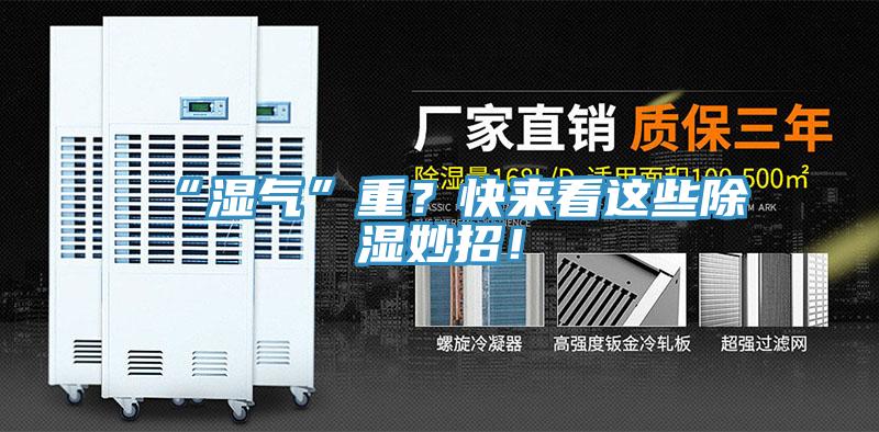 “濕氣”重？快來看這些除濕妙招！
