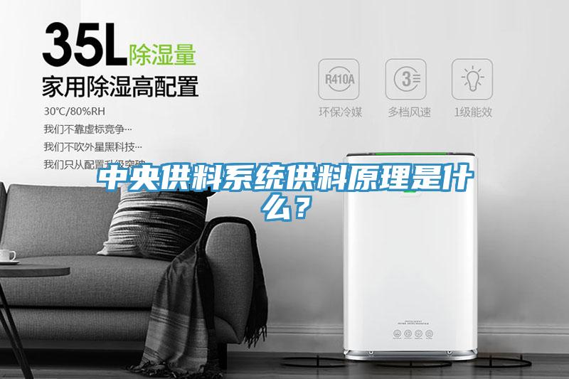 中央供料系統(tǒng)供料原理是什么？