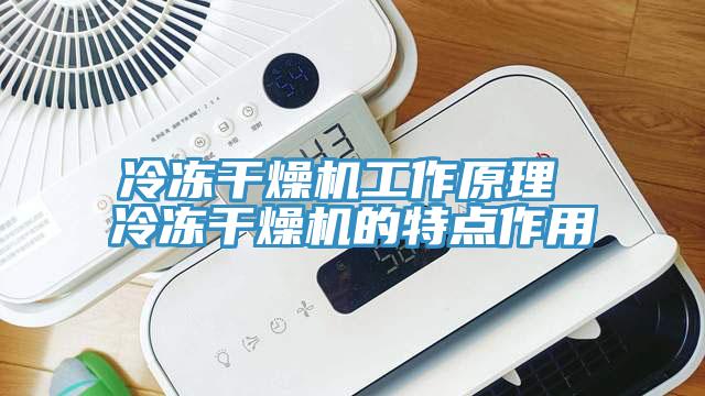 冷凍干燥機(jī)工作原理 冷凍干燥機(jī)的特點作用
