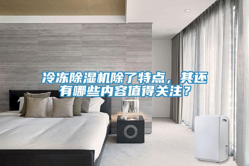 冷凍除濕機除了特點,其還有哪些內(nèi)容值得關(guān)注?