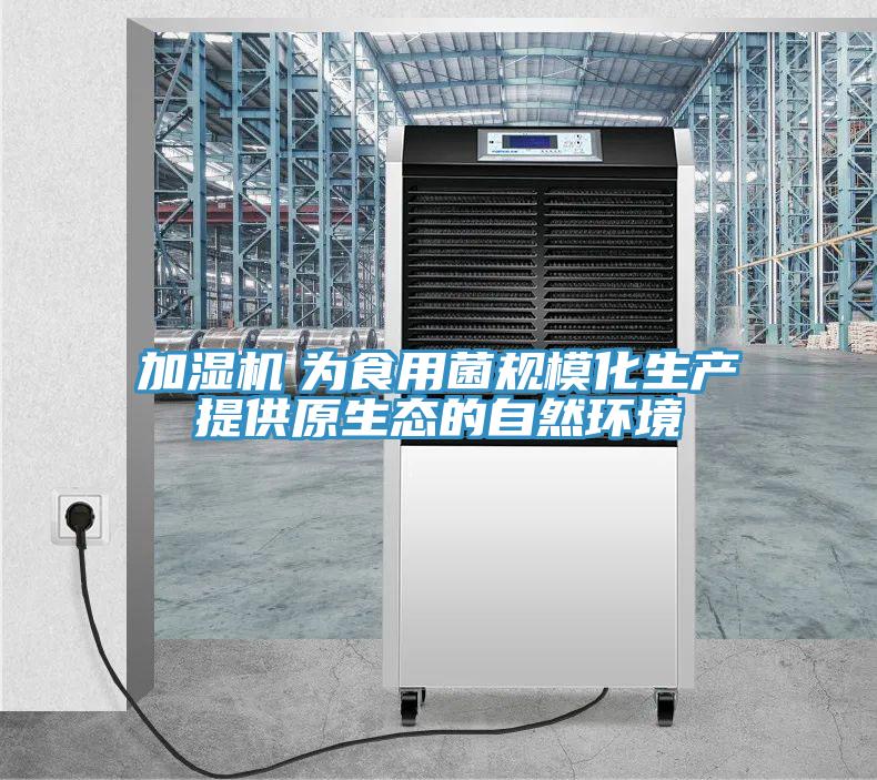 加濕機　為食用菌規(guī)?；a(chǎn)提供原生態(tài)的自然環(huán)境