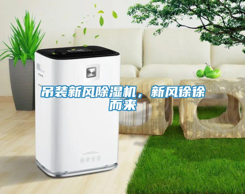 吊裝新風(fēng)除濕機，新風(fēng)徐徐而來