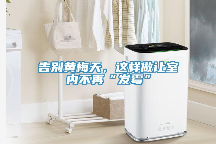 告別黃梅天，這樣做讓室內(nèi)不再“發(fā)霉”