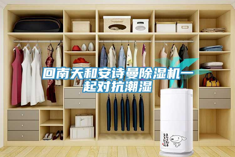 回南天和安詩曼除濕機(jī)一起對(duì)抗潮濕