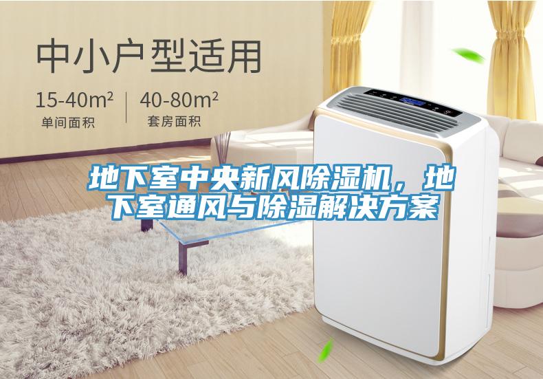 地下室中央新風除濕機，地下室通風與除濕解決方案