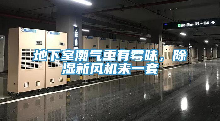 地下室潮氣重有霉味，除濕新風機來一套
