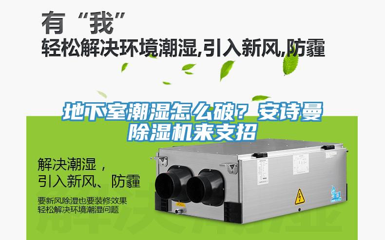 地下室潮濕怎么破？安詩曼除濕機(jī)來支招