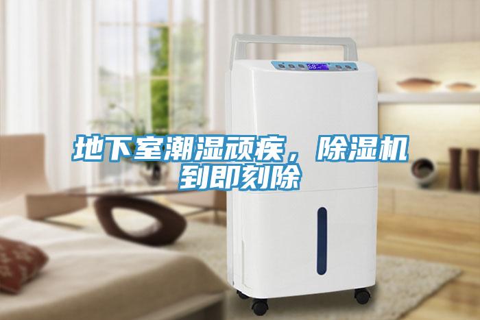 地下室潮濕頑疾，除濕機(jī)到即刻除