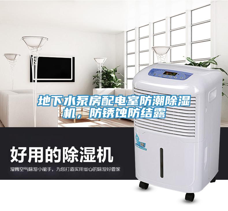 地下水泵房配電室防潮除濕機，防銹蝕防結露