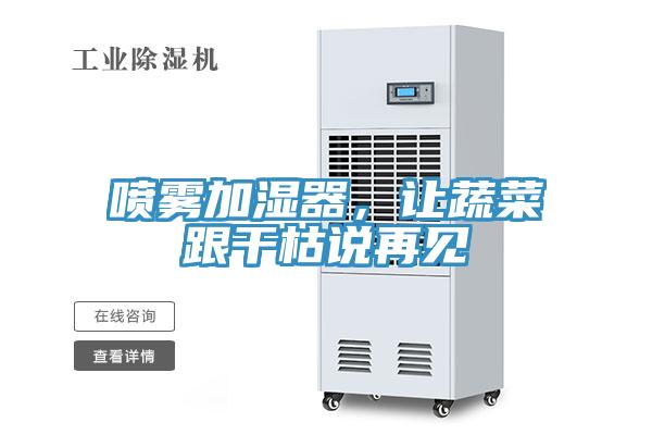 噴霧加濕器，讓蔬菜跟干枯說再見