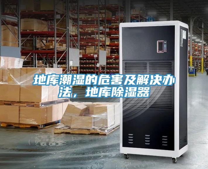 地庫潮濕的危害及解決辦法，地庫除濕器