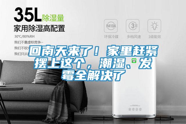 回南天來了！家里趕緊擺上這個(gè)，潮濕、發(fā)霉全解決了